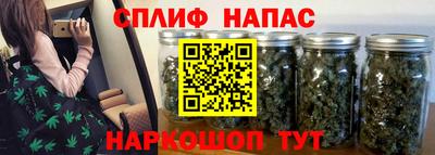 mdpv Кингисепп